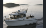 Quicksilver 675 Pilothouse-kuva-1